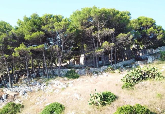 Trullo in Castro - Romantisches Trullo über dem Fjord mit Meerzugang (Haus G)