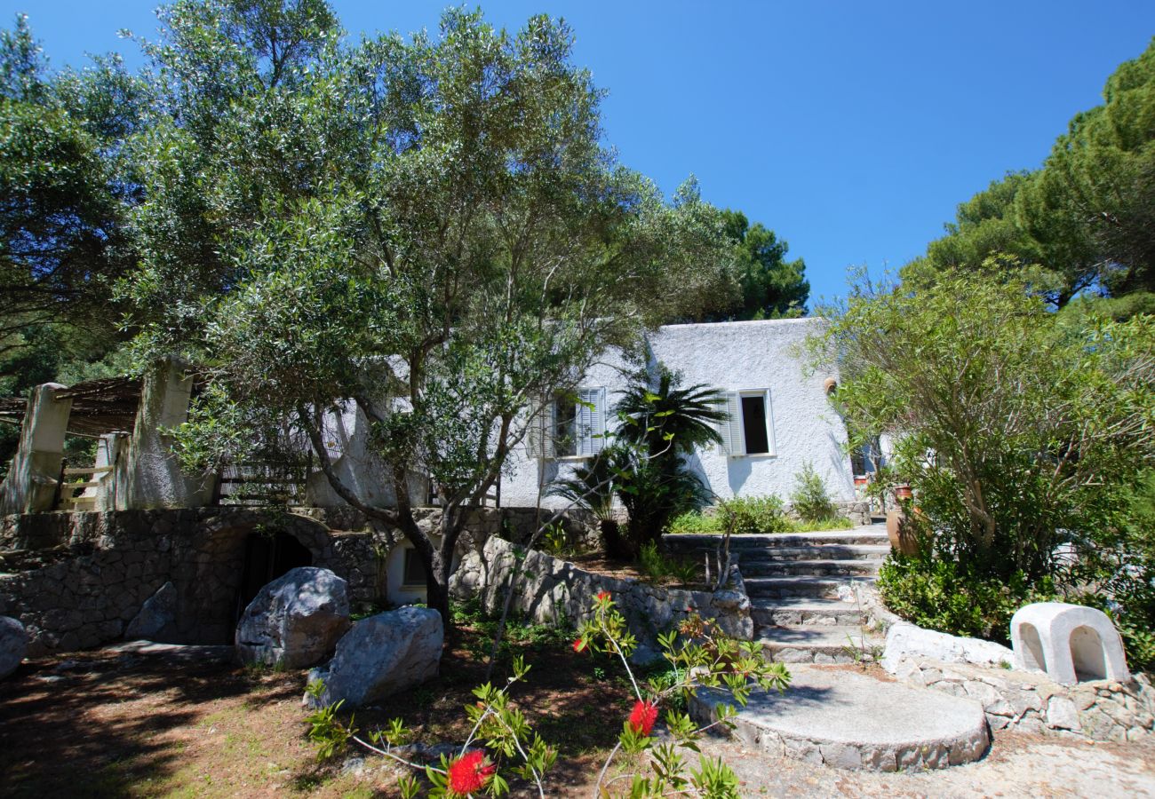 Ferienhaus in Castro - Großes Ferienhaus mit Meerzugang (Haus D)