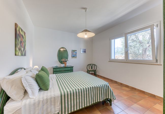 Ferienhaus in Pescoluse - Hübsches Ferienhaus mit Pool 1km vom Sandstrand von Pescoluse Ferienhaus in Pescoluse - Hübsches Ferienhaus mit Pool 1km vom Sandstrand von Pescoluse