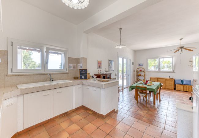 Ferienhaus in Pescoluse - Hübsches Ferienhaus mit Pool 1km vom Sandstrand von Pescoluse Ferienhaus in Pescoluse - Hübsches Ferienhaus mit Pool 1km vom Sandstrand von Pescoluse