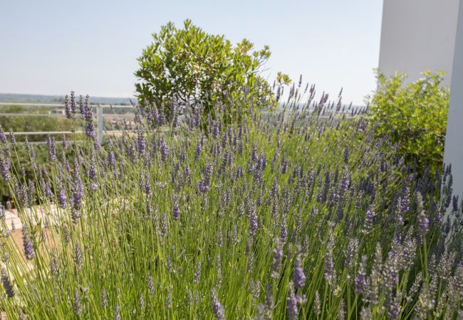 Villa in Torre Pali - Panorama-Villa mit schönem Pool in Strandnähe Villa in Torre Pali - Panorama-Villa mit schönem Pool in Strandnähe