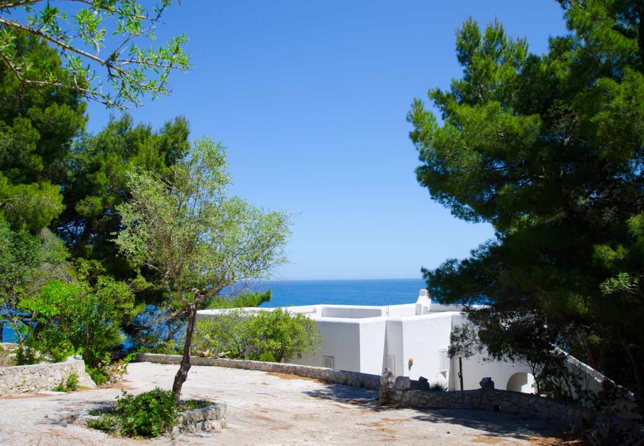Villa in Castro - Atemberaubende Whirlpool-Villa mit Meerzugang (Haus B)