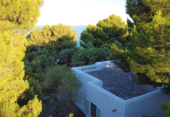 House in Castro - Large villa with sea access (house D) House in Castro - Large villa with sea access (house D)