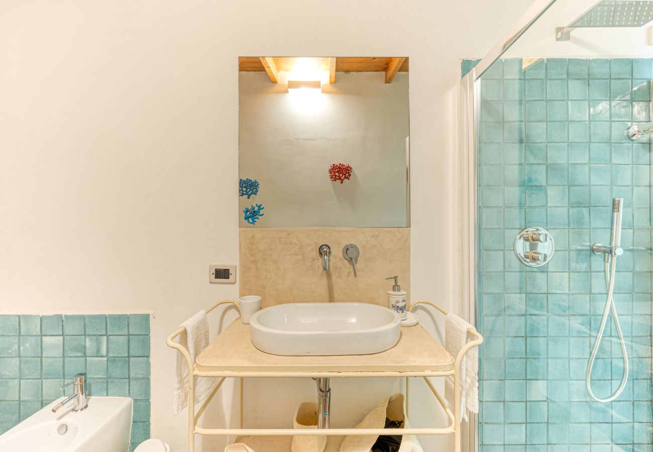 House in Patù - Historic house with pool and Mediterranean park (A)
