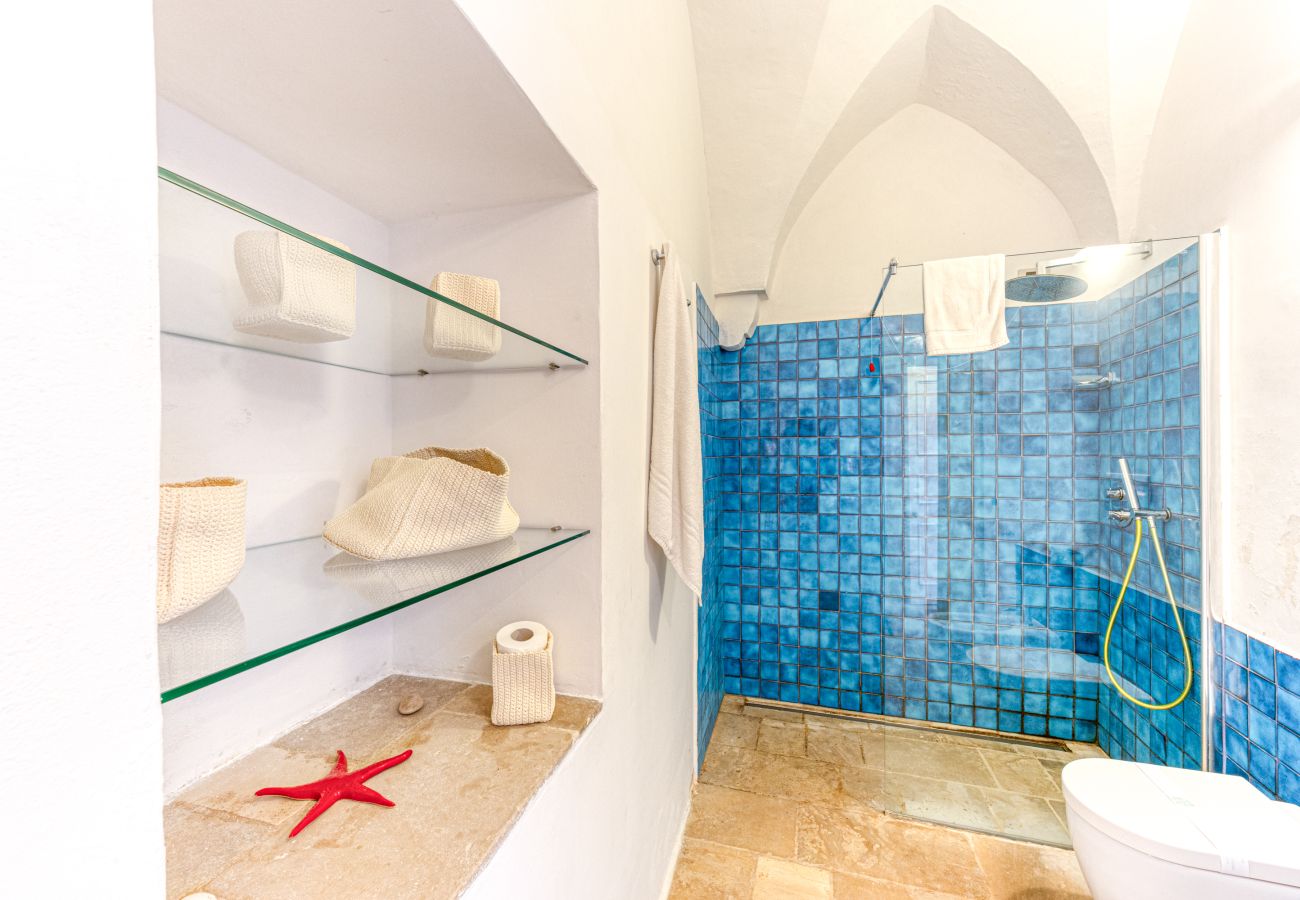 House in Patù - Historic house with pool and Mediterranean park (A)