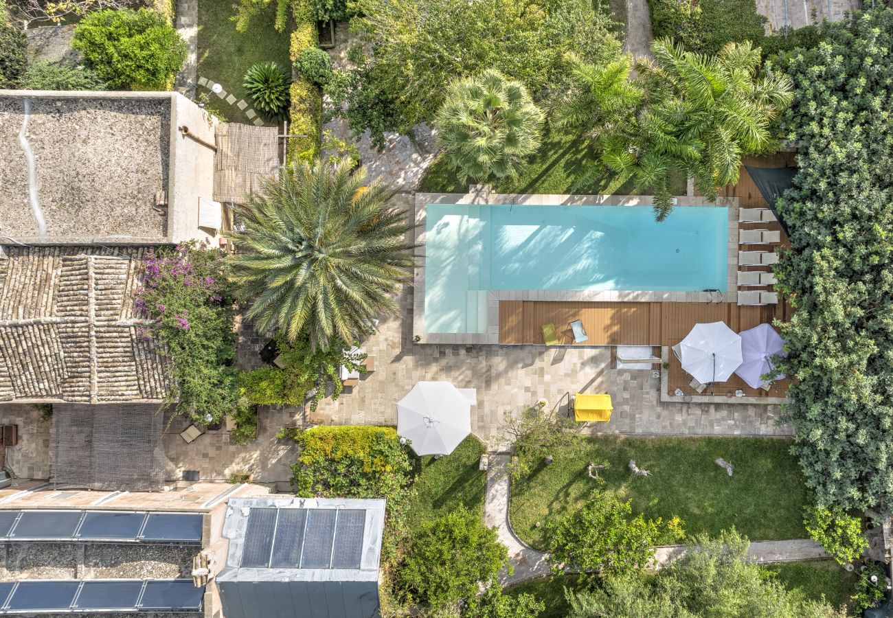 House in Patù - Historic house with pool and Mediterranean park (A)