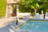 House in Patù - Historic house with pool and Mediterranean park (A)