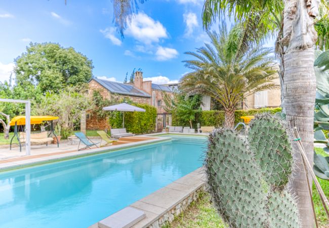 Villa in Patù - Charming residence with large pool and park