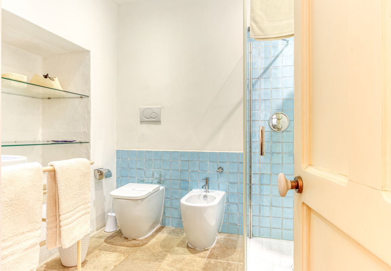 Villa in Patù - Charming residence with large pool and park