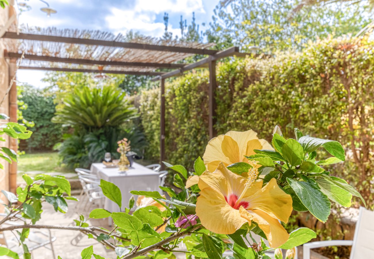 House in Patù - Pool house in the park, 7km from the sandy beaches (C)