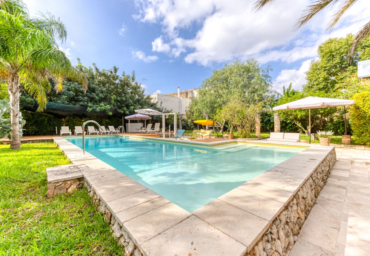House in Patù - Pool house in the park, 7km from the sandy beaches (C)