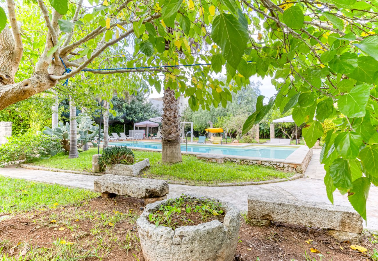 House in Patù - Pool house in the park, 7km from the sandy beaches (C)