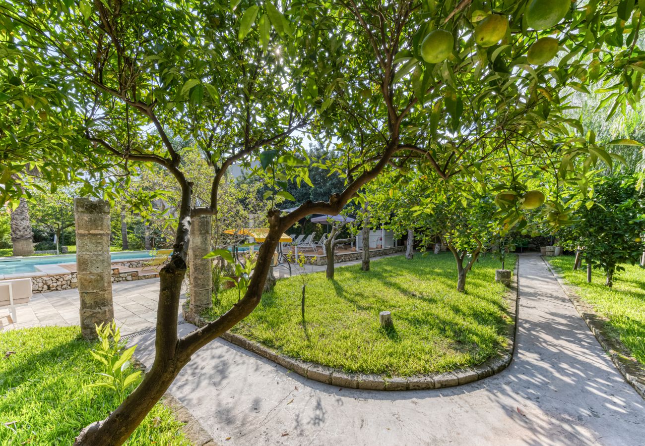 House in Patù - Pool house in the park, 7km from the sandy beaches (C)