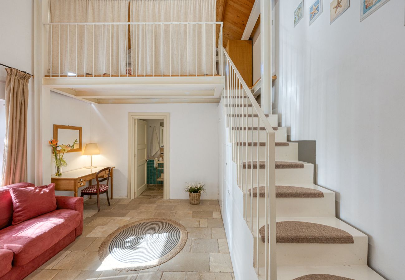 House in Patù - Cozy house with pool and park (B)