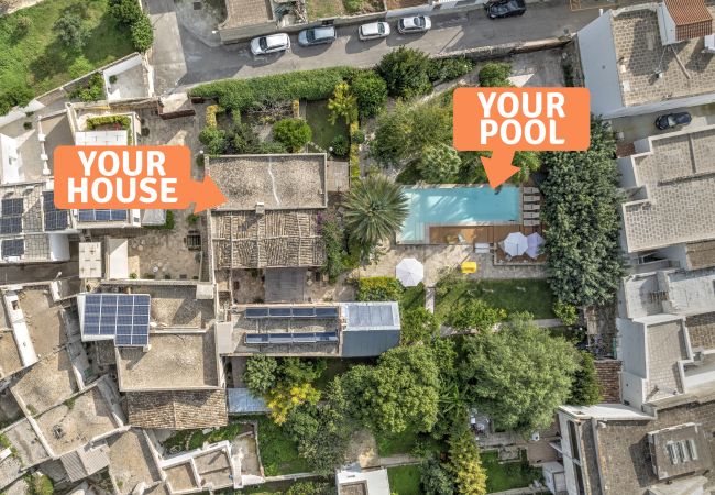 House in Patù - Little gem with pool in Salento (D) House in Patù - Little gem with pool in Salento (D)