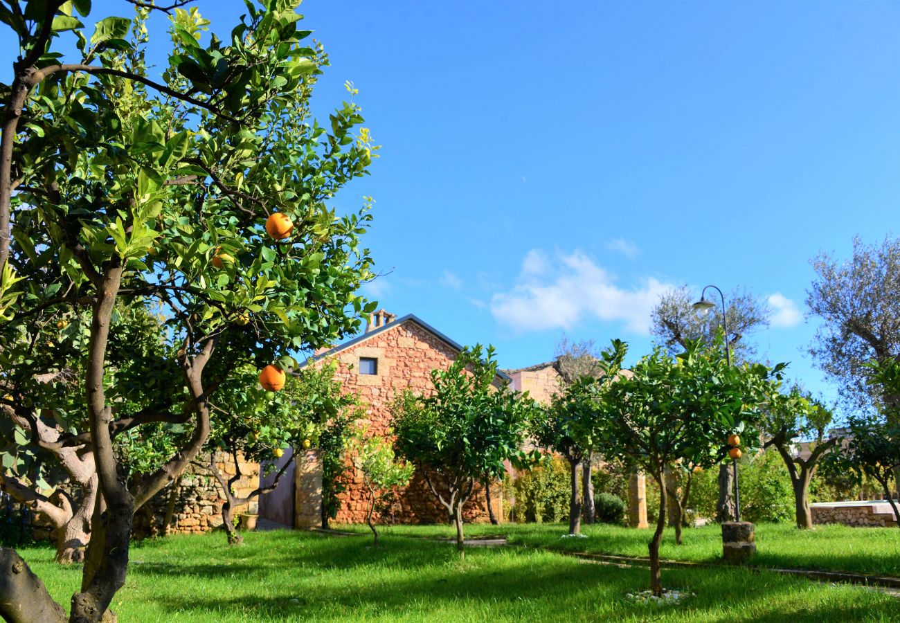 Apartment in Patù - Nice studio with pool access and terrace (E)