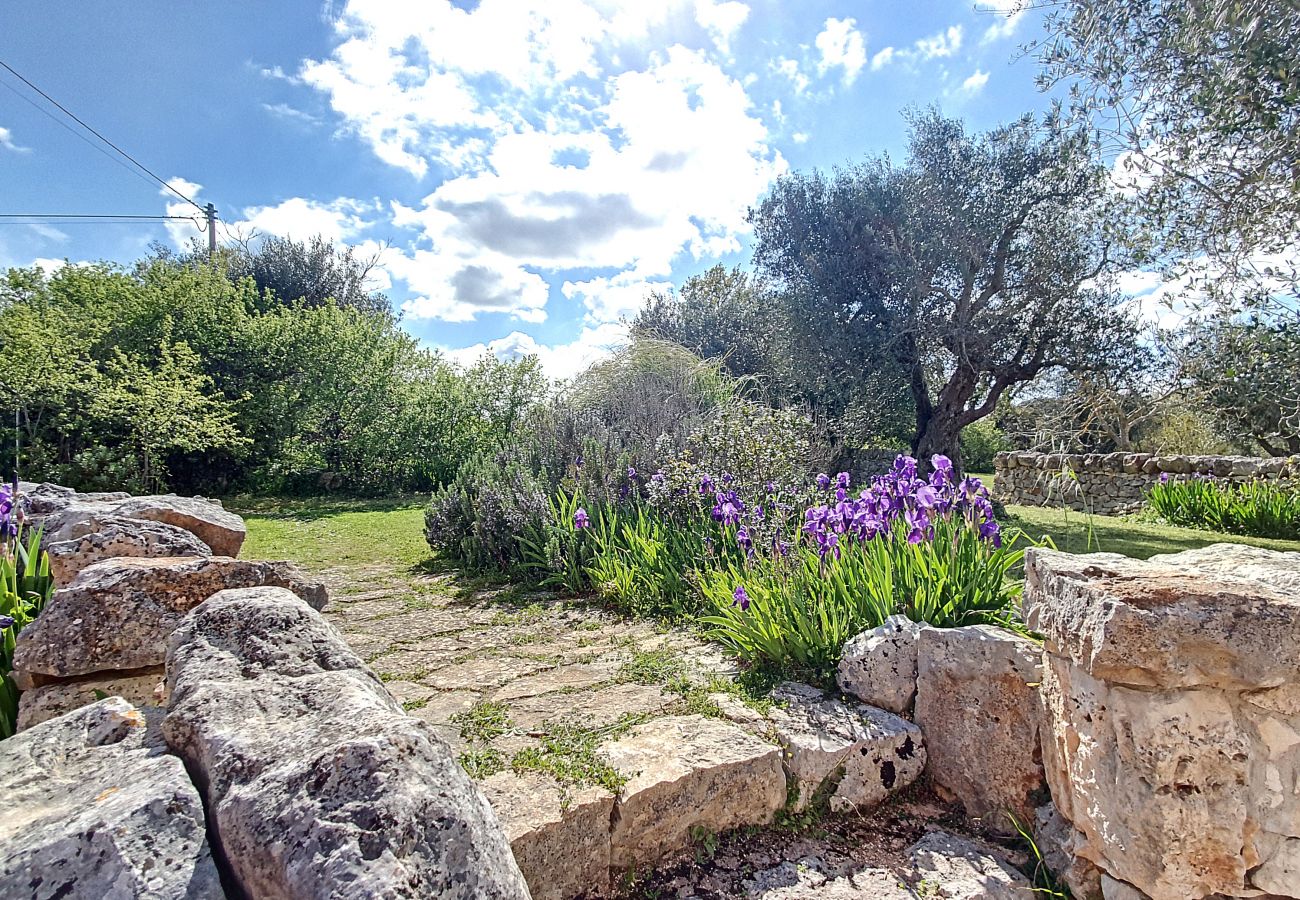 Villa in Cisternino - Enchanting trulli mansion with natural pool