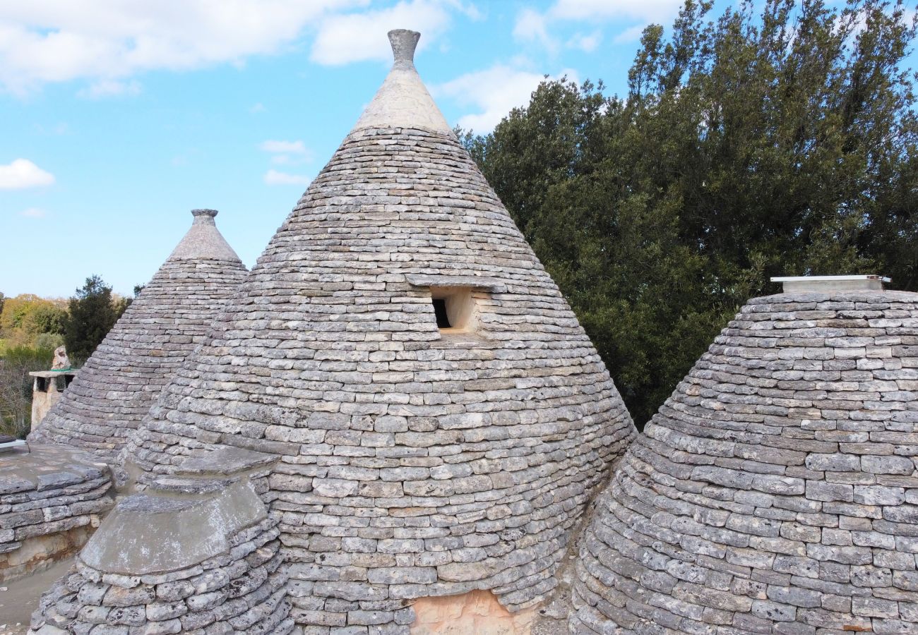 Villa in Cisternino - Enchanting trulli mansion with natural pool