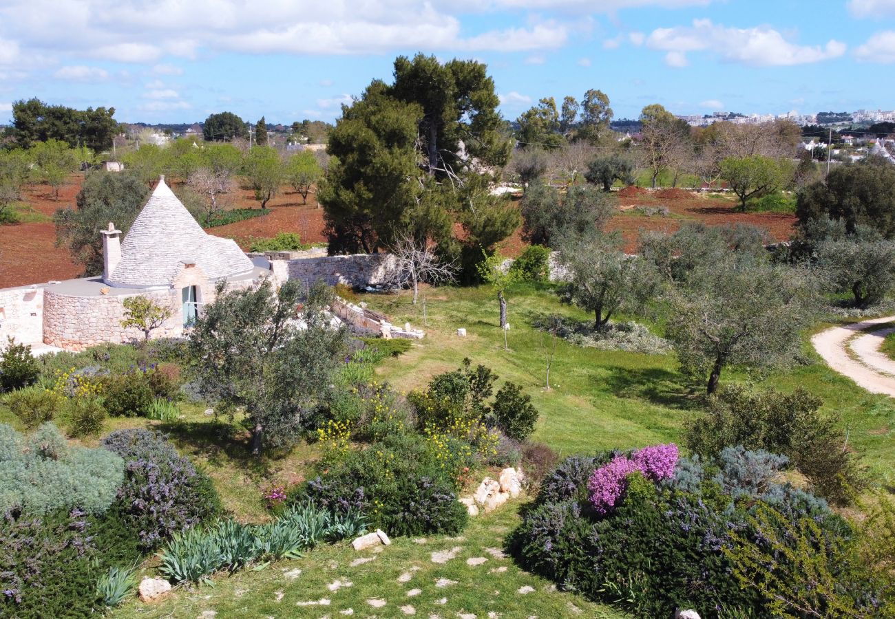 Villa in Cisternino - Enchanting trulli mansion with natural pool