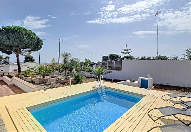House in Pescoluse - Cozy house with pool 1km from sandy beach in Pescoluse