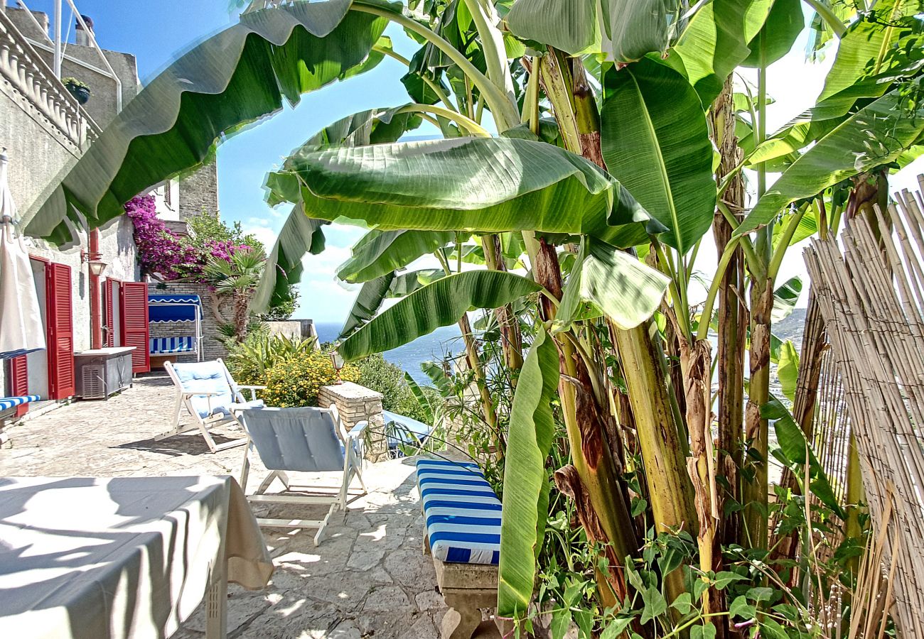 House in Castro - Outdoor jacuzzi in old town w/ fantastic sea view