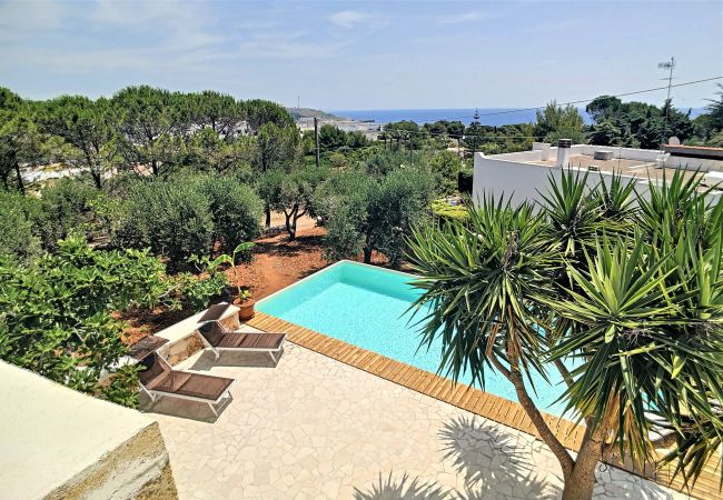 Villa in Leuca - Renovated estate w/ private pool 950m from the sea Villa in Leuca - Renovated estate w/ private pool 950m from the sea
