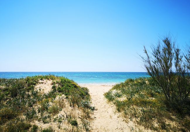 Villa in Pescoluse - Beach villa w/ heated whirlpool & amazing sea view Villa in Pescoluse - Beach villa w/ heated whirlpool & amazing sea view