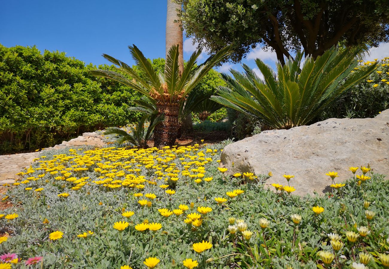 Villa in Pescoluse - Child-friendly beach villa w/ hot whirlpool & sea view