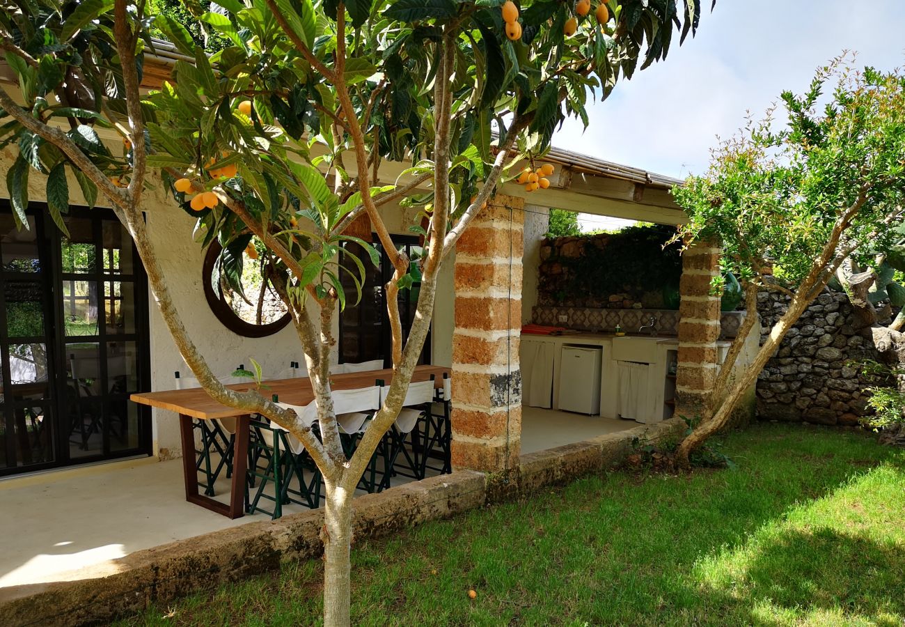 Villa in Castrignano del Capo - 4 km from sea: Town estate with pool
