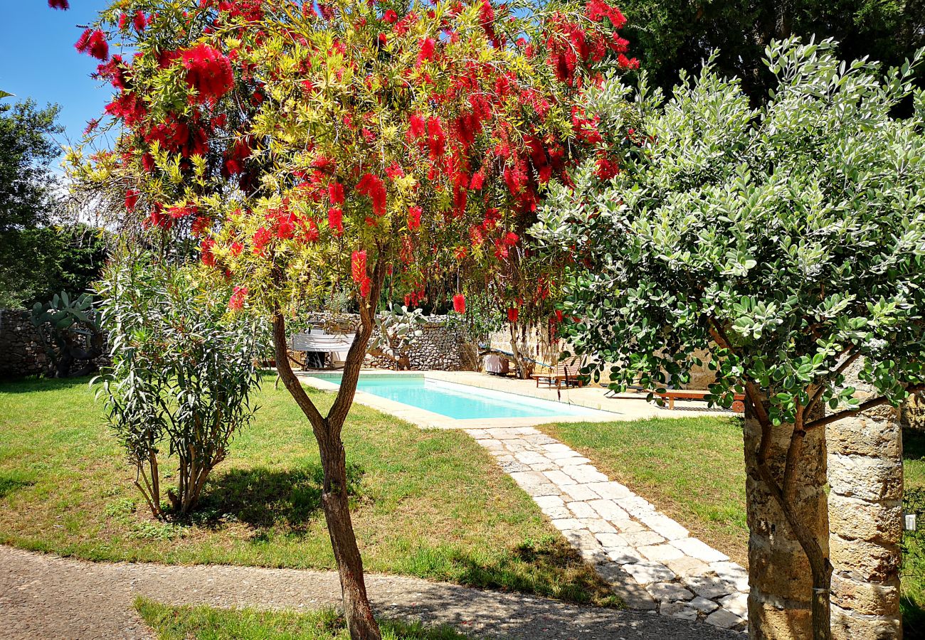 Villa in Castrignano del Capo - 4 km from sea: Town estate with pool