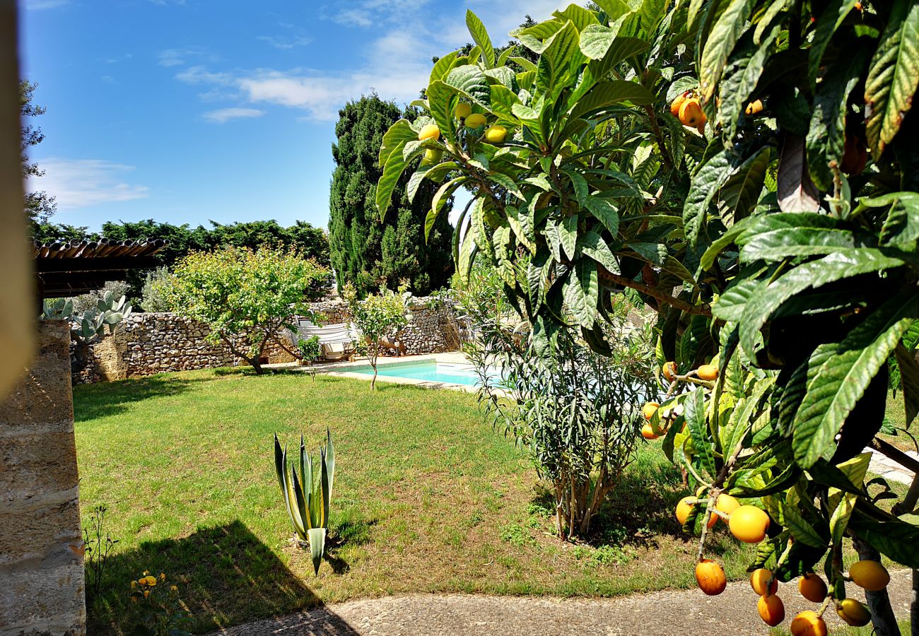 Villa in Castrignano del Capo - 4 km from sea: Town estate with pool