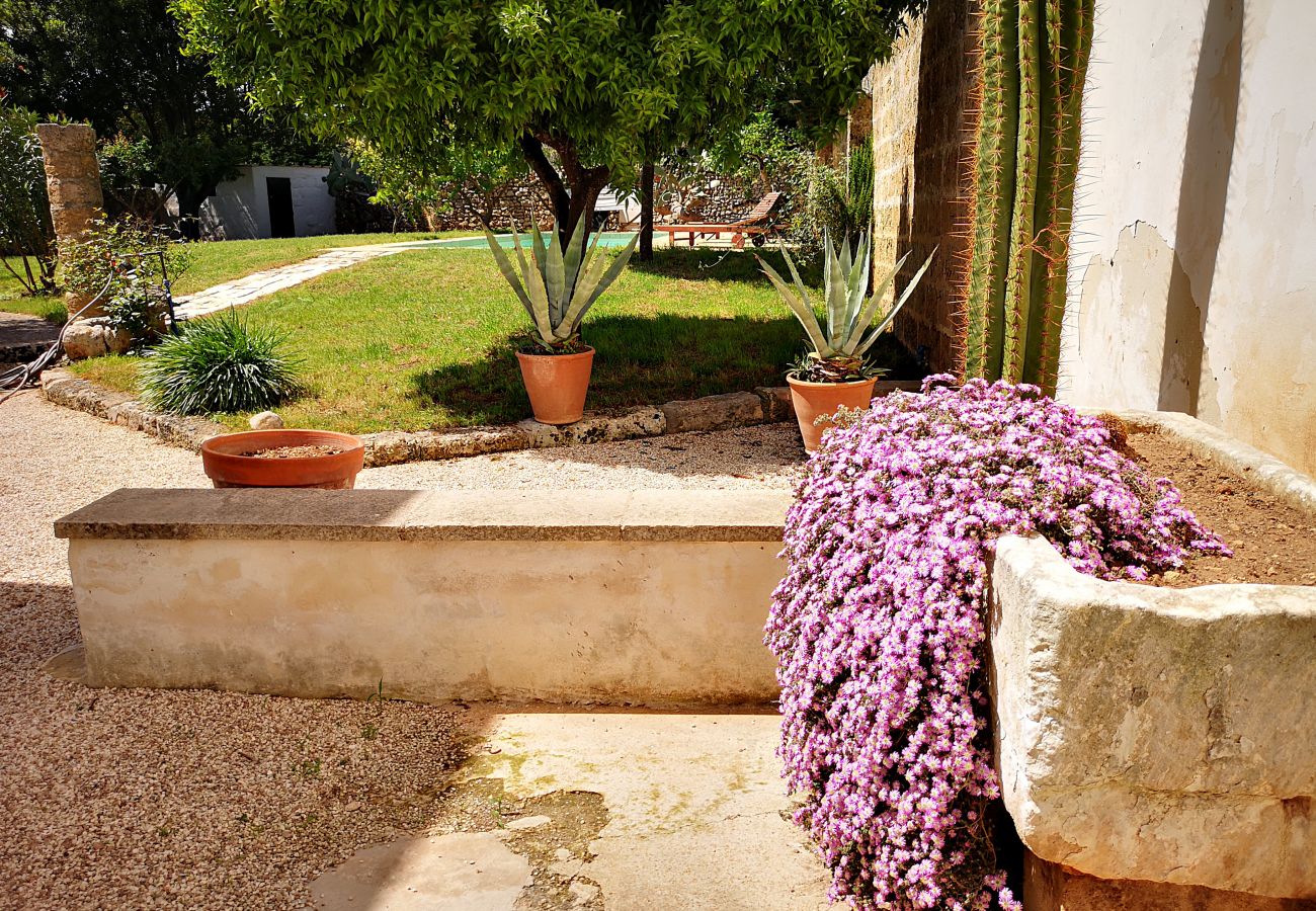 Villa in Castrignano del Capo - 4 km from sea: Town estate with pool