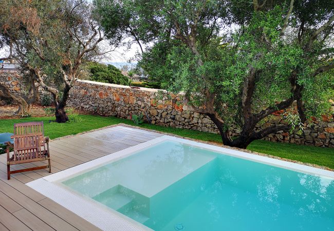 Villa in Marina di Felloniche - A dream: 5*-villa w/ beach access, pool & jacuzzi Villa in Marina di Felloniche - A dream: 5*-villa w/ beach access, pool & jacuzzi