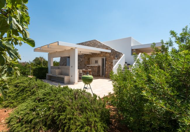 Villa in Torre Pali - Modern villa with plunge pool near the beaches