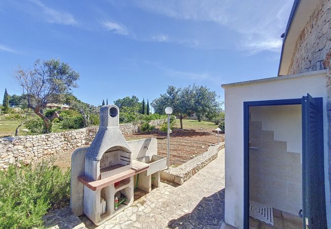 Villa in Pescoluse - 2km from the beaches: nice villa with pool