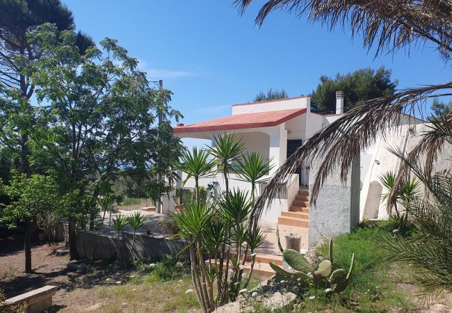 Villa in Pescoluse - Quiet country house with sea view and garden Villa in Pescoluse - Quiet country house with sea view and garden