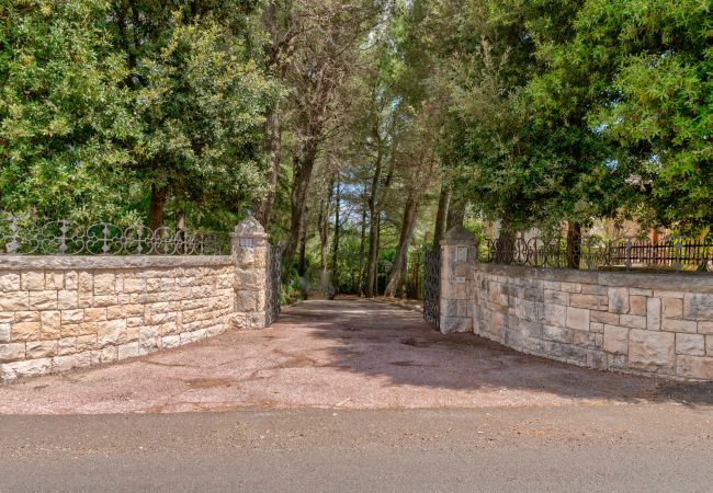 Villa in Fasano - Charming country house with heated pool & park Villa in Fasano - Charming country house with heated pool & park