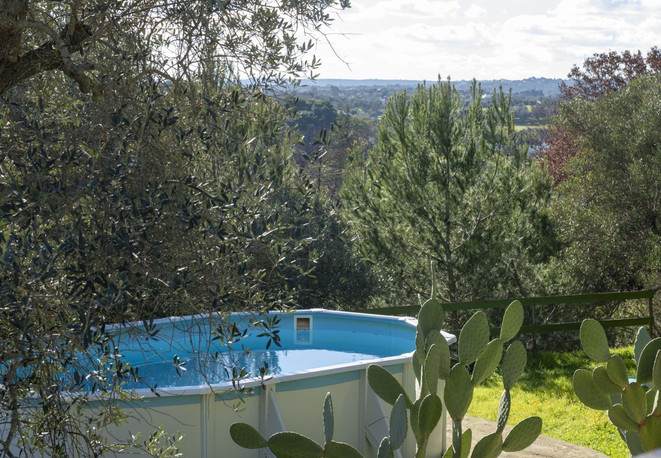 Trullo in Ostuni - Intimate trullo with little pool and garden