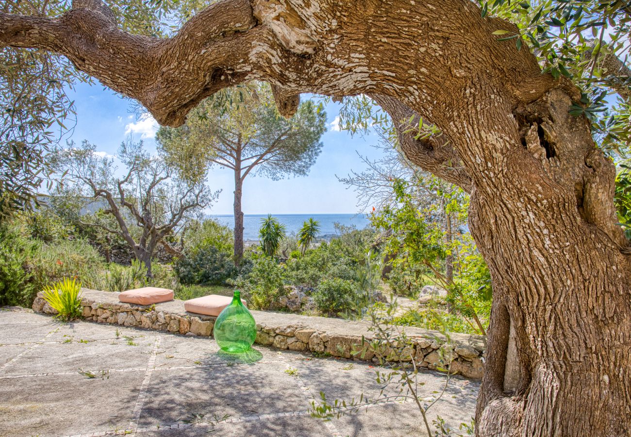 Country house in Patù - Nice stone house with sea view & outdoor whirlpool