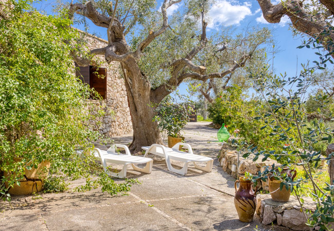 Country house in Patù - Nice stone house with sea view & outdoor whirlpool