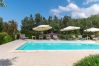 Villa in Torre San Giovanni - Fantastic beach villa with pool and garden