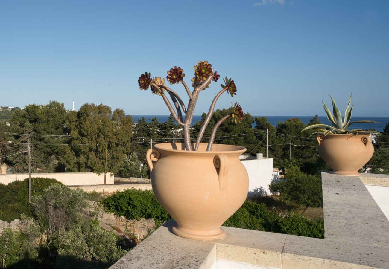 House in Leuca - Cozy house with little pool and sea view