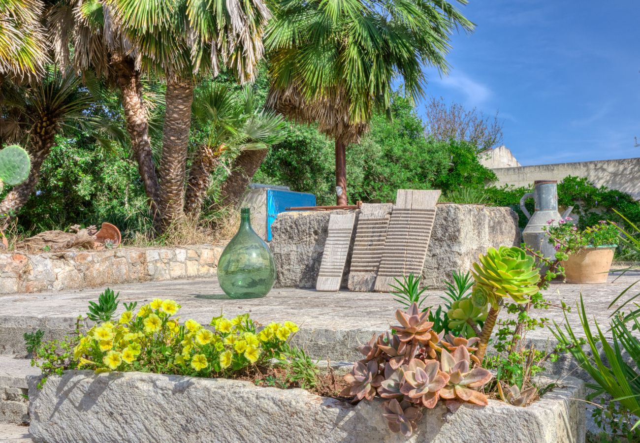 Villa in Casarano - Whole countryside estate with pool - exclusive use