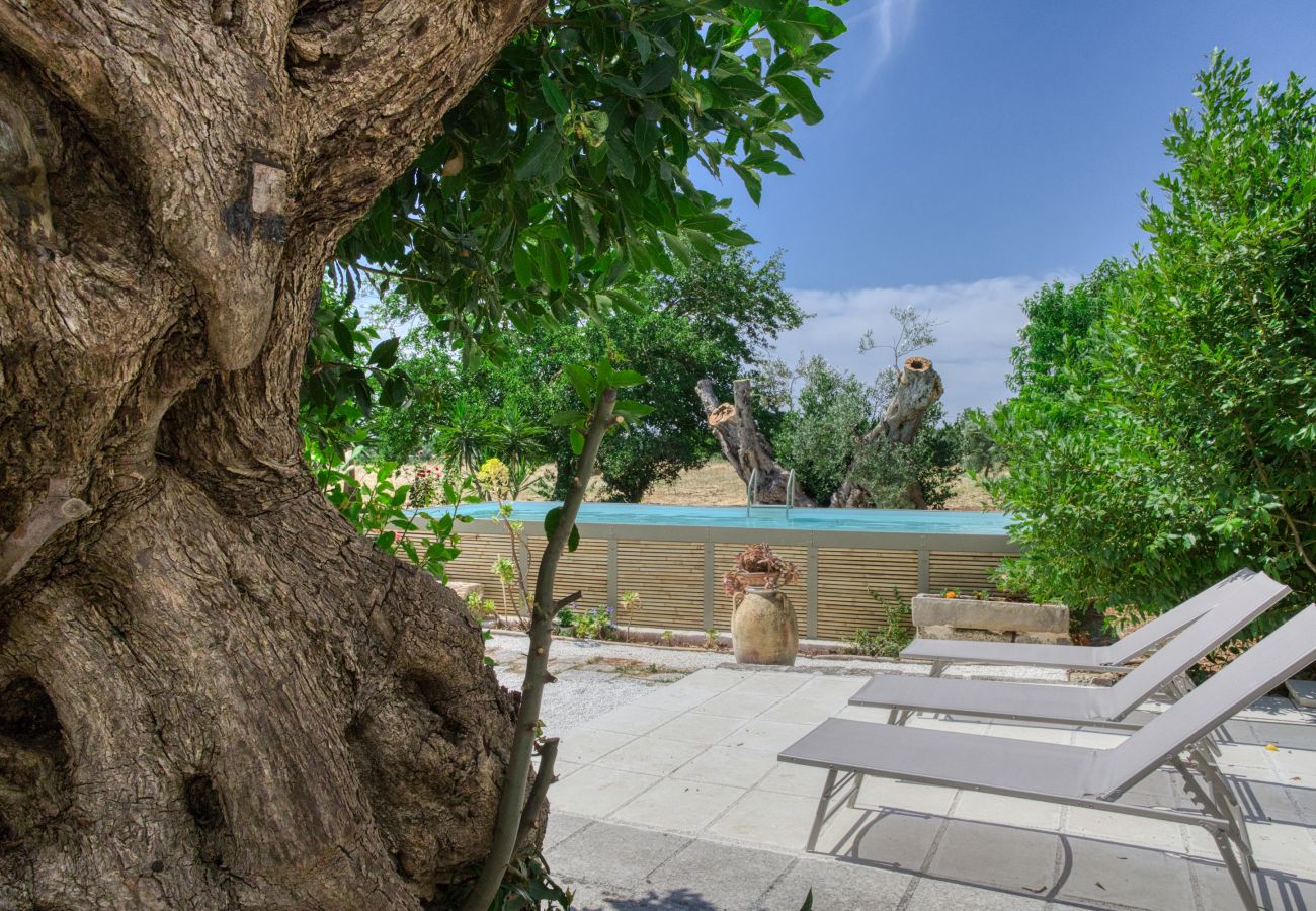 Villa in Casarano - Whole countryside estate with pool - exclusive use
