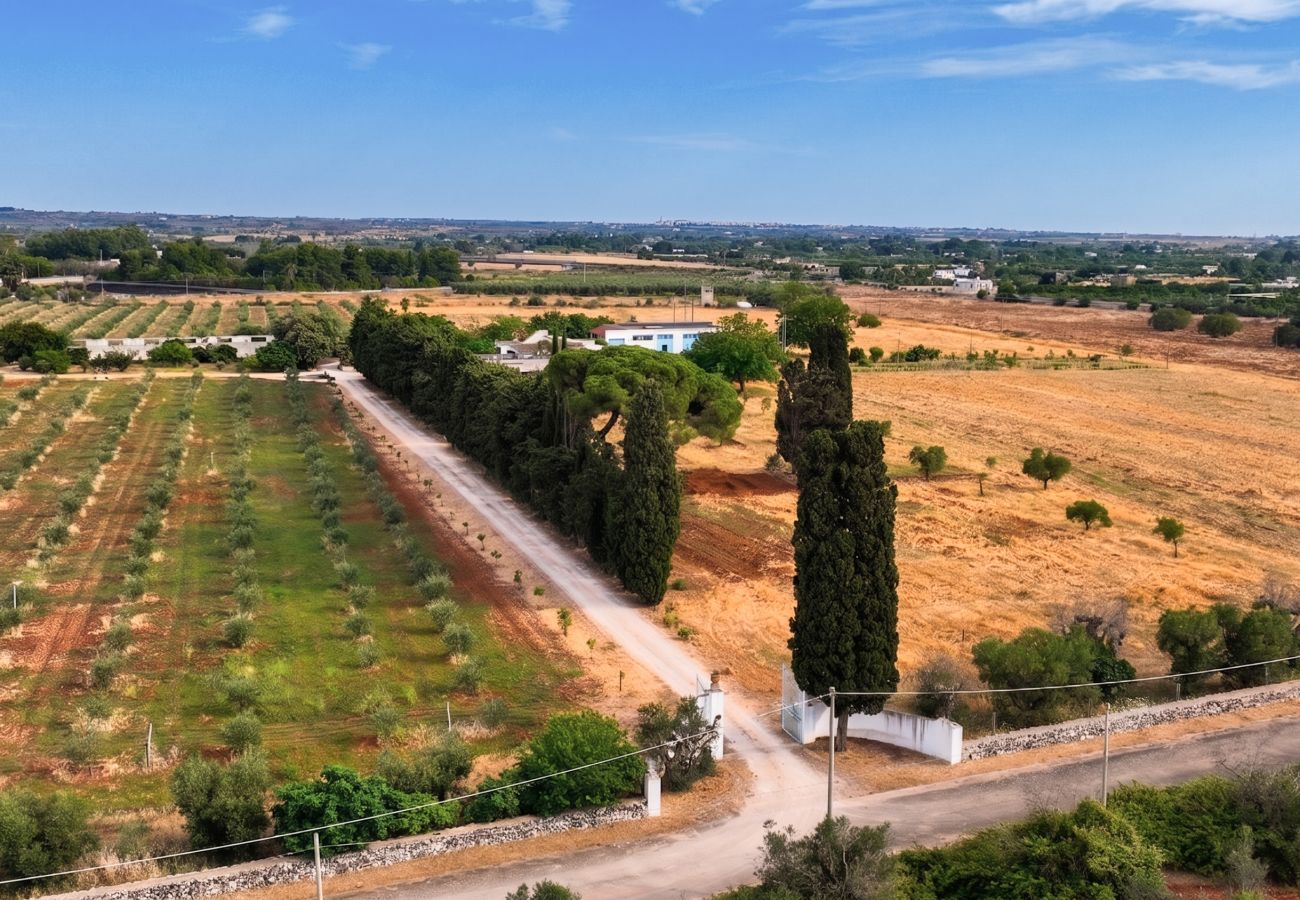 Villa in Casarano - Whole countryside estate with pool - exclusive use