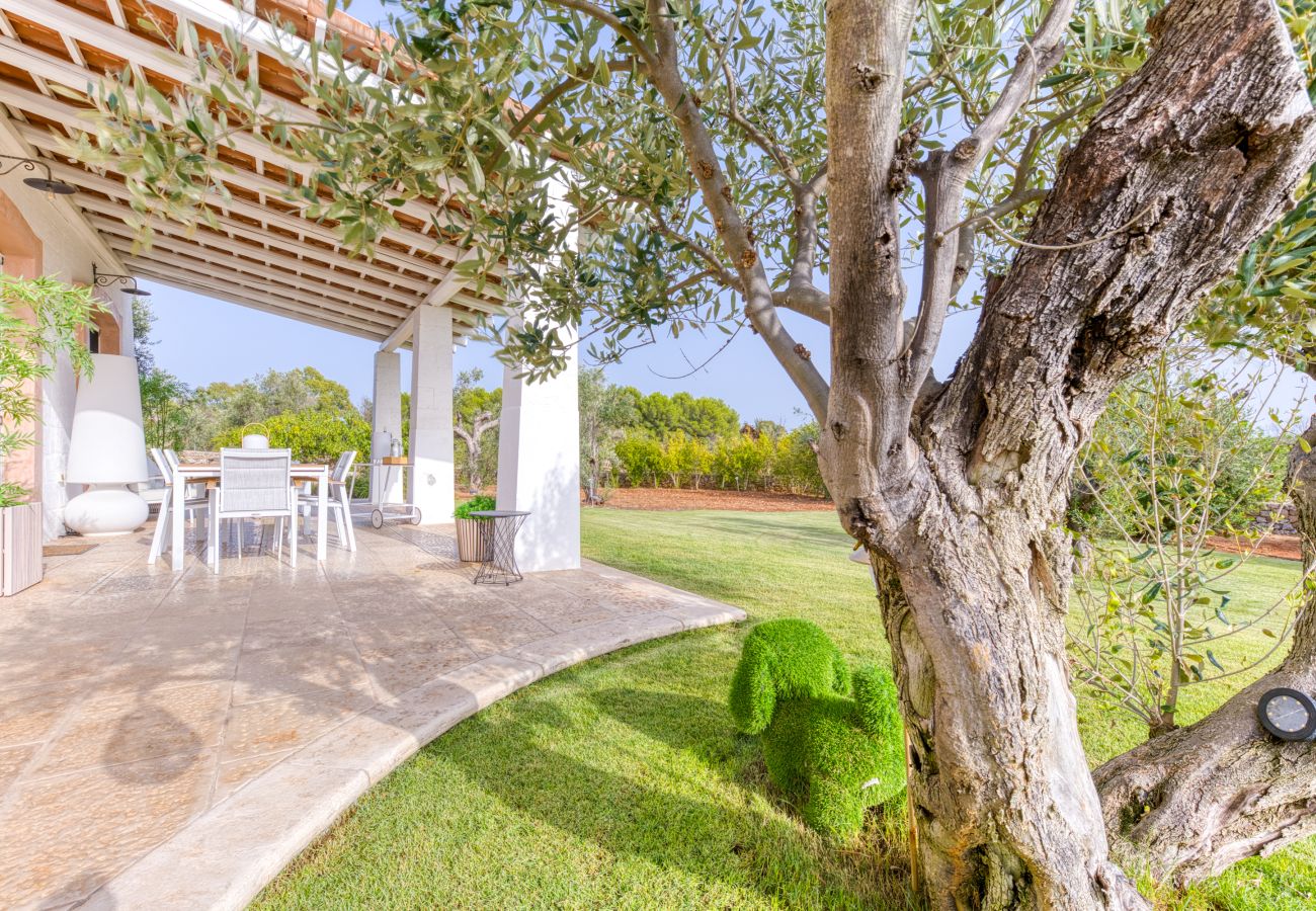 Villa in Pescoluse - Superior pool villa w/ huge garden