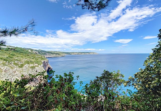 Villa à Castro - Superbe villa avec jacuzzi et accès privé à la mer Villa à Castro - Superbe villa avec jacuzzi et accès privé à la mer