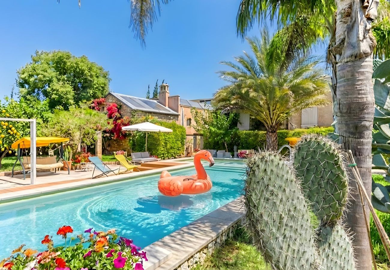Villa à Patù - Demeure de charme avec grande piscine et parc
