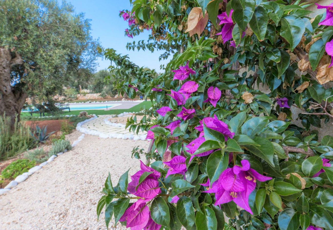 Villa à Patù - Villa de luxe avec piscine à 2km de la mer