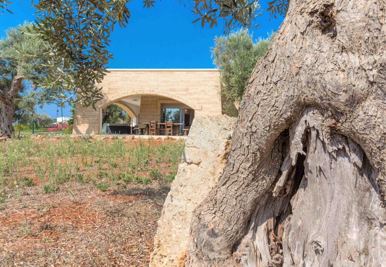 Villa à Patù - Villa de luxe avec piscine à 2km de la mer